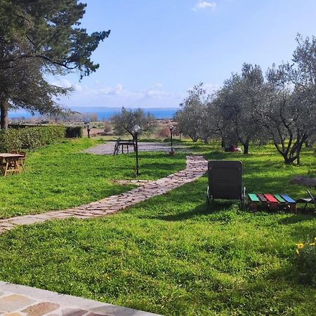 Agriturismo La Villetta 산 로렌조 누보 외부 사진