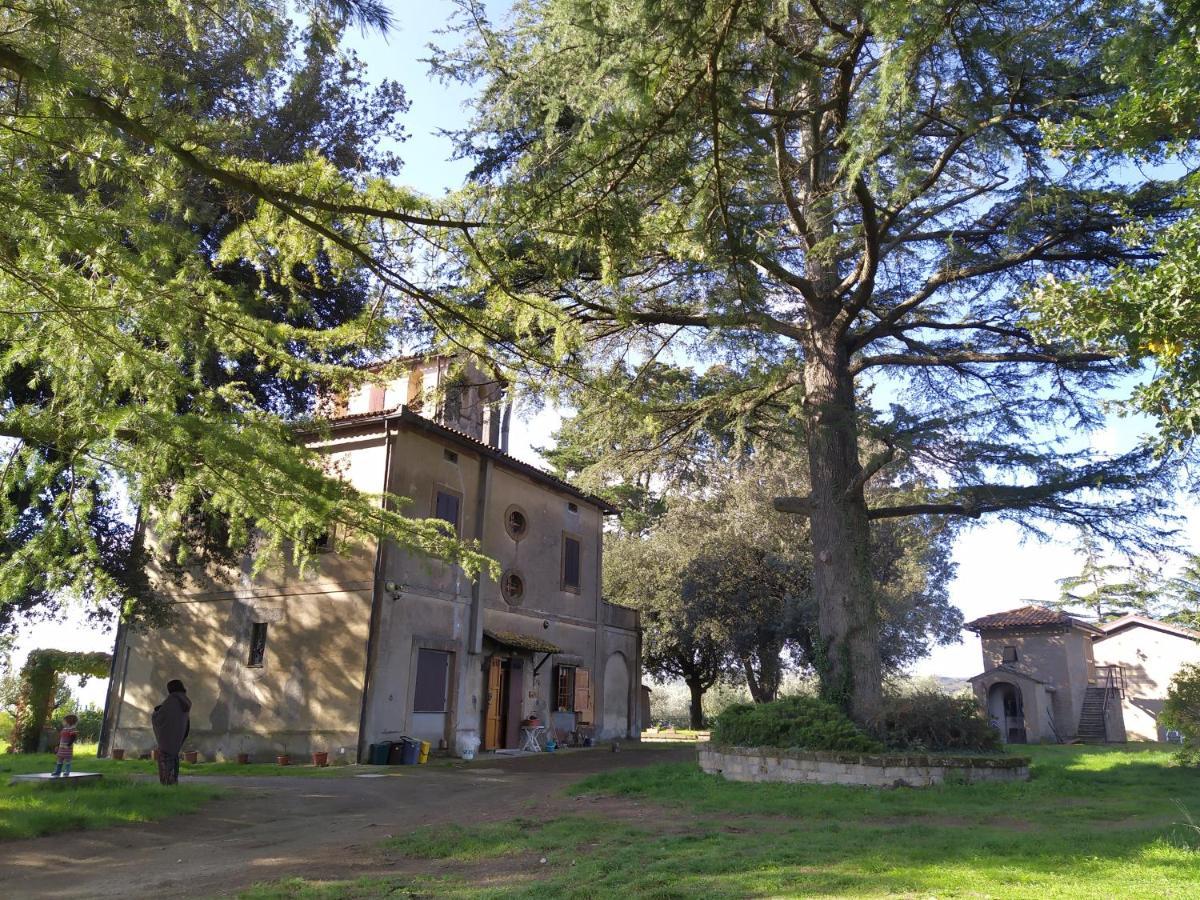 Agriturismo La Villetta 산 로렌조 누보 외부 사진