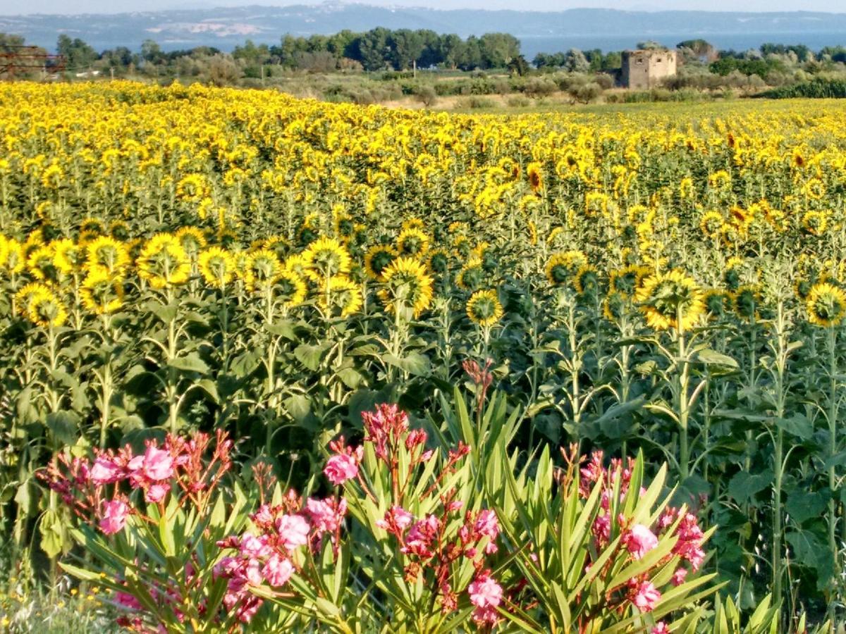 Agriturismo La Villetta 산 로렌조 누보 외부 사진