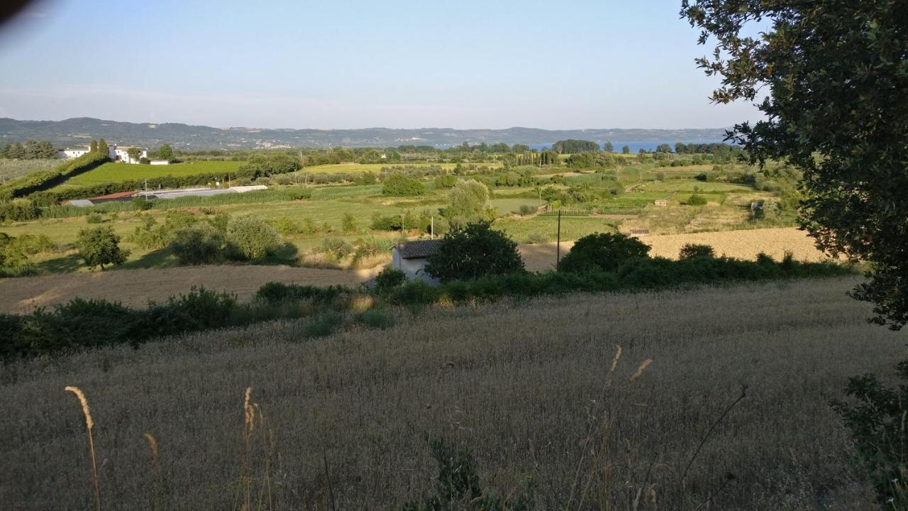 Agriturismo La Villetta 산 로렌조 누보 외부 사진