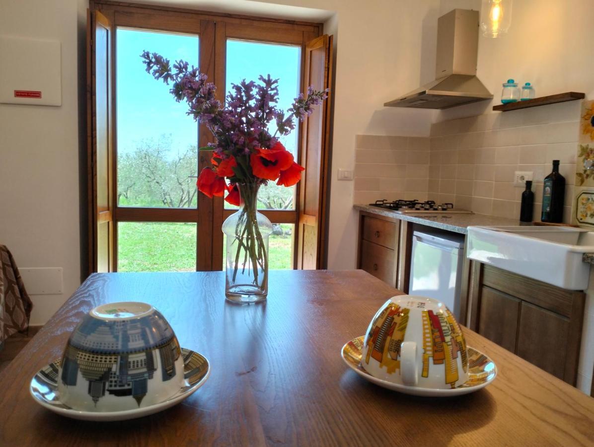 Agriturismo La Villetta 산 로렌조 누보 외부 사진
