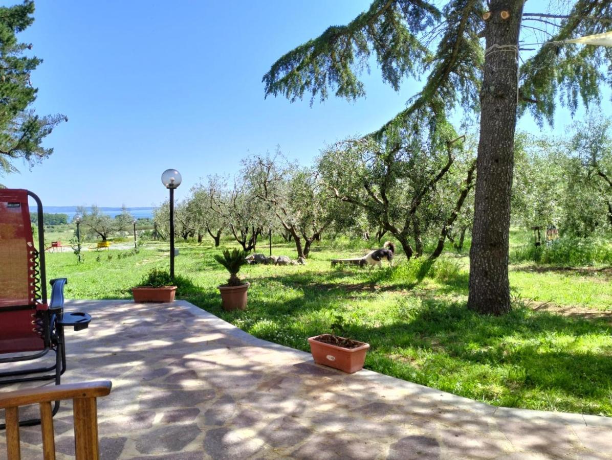 Agriturismo La Villetta 산 로렌조 누보 외부 사진