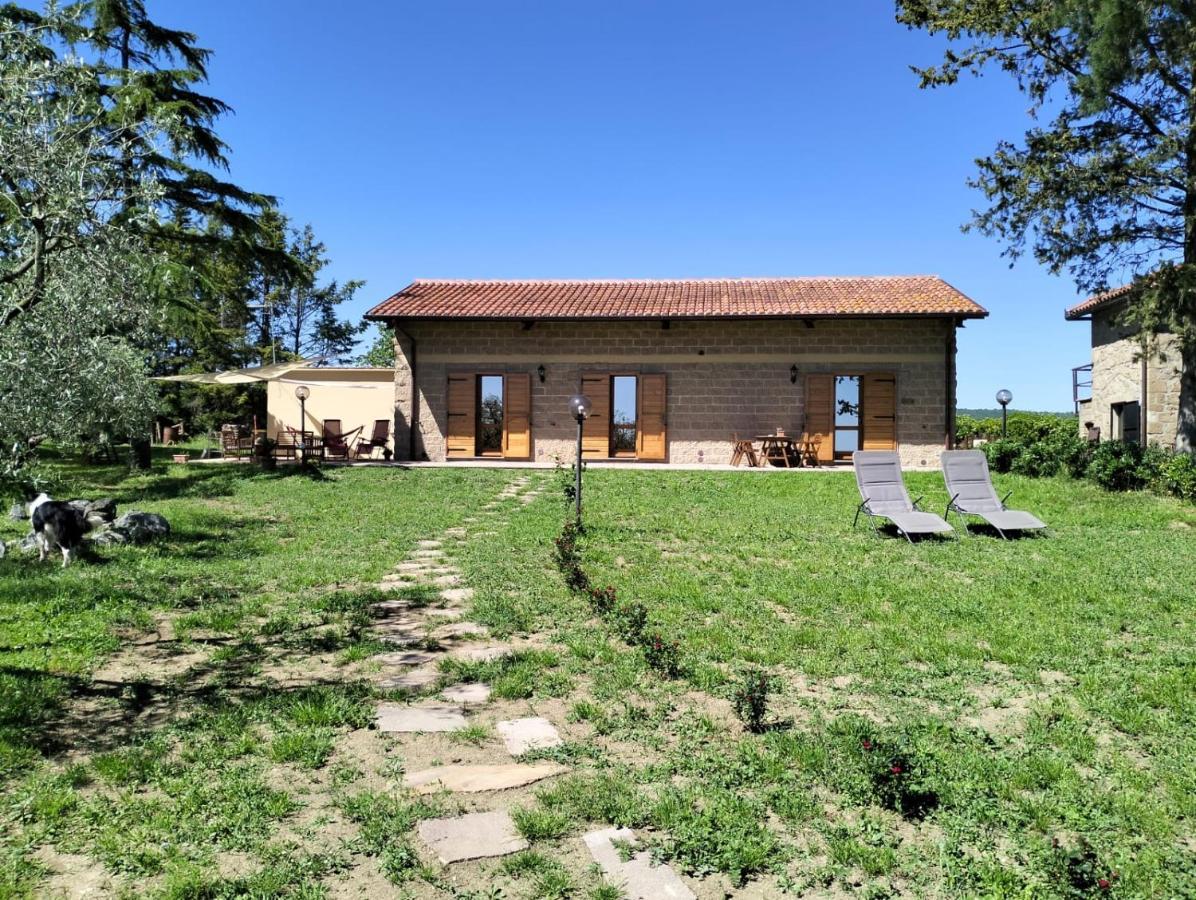 Agriturismo La Villetta 산 로렌조 누보 외부 사진