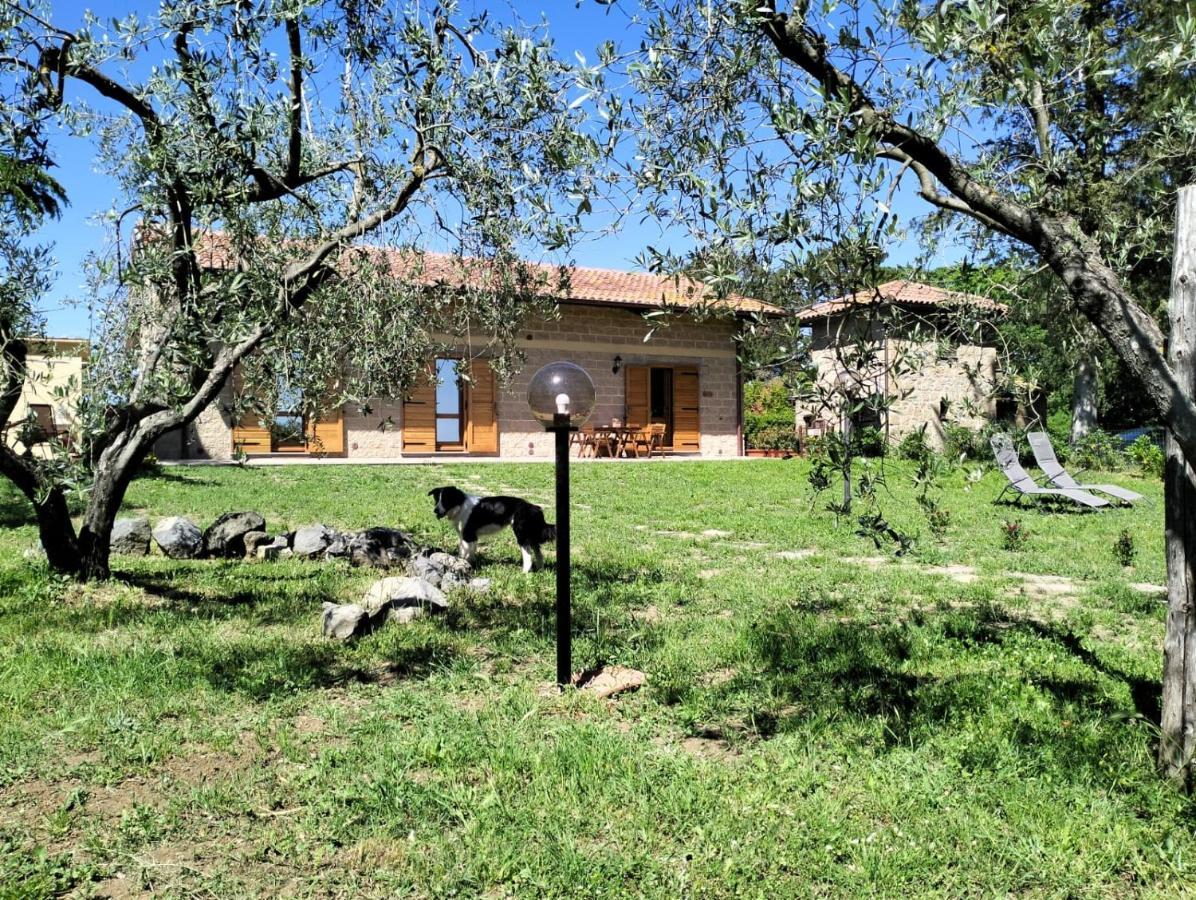 Agriturismo La Villetta 산 로렌조 누보 외부 사진